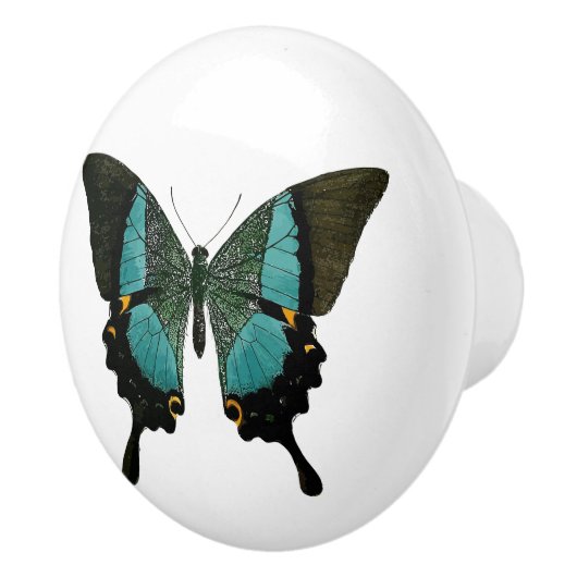 Aquamariner Schmetterling Keramikknauf (Rechts)