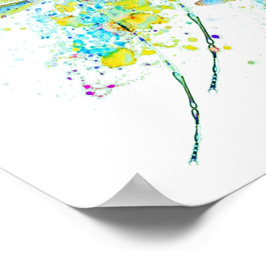 Aquamariner Spritzer Poster (Ecke)