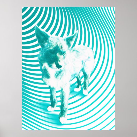 aquamariner Terrier Poster (Vorne)