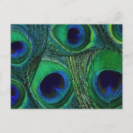 Aquamarines blaues Pfauenfedermuster, Druck / Must Postkarte