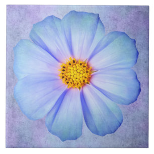 Aquamarines blaues und violettes Gänseblümchen a Fliese