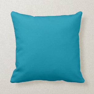 aquamarines Bondi mit fester Farbe Kissen