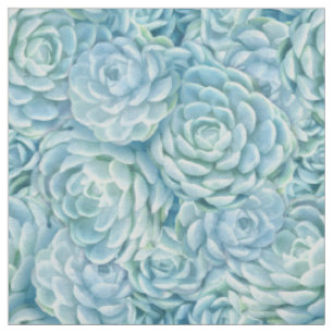 Aquamarines Echeveria-Sukkulationsmuster Stoff