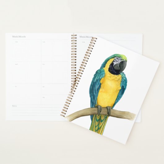 Aquamarines Macaw Planer (Anzeige)