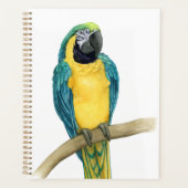 Aquamarines Macaw Planer (Vorderseite)