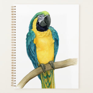 Aquamarines Macaw Planer