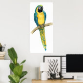 Aquamarines Macaw Poster (Heimbüro)