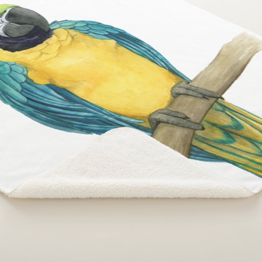 Aquamarines Macaw Sherpadecke (3/4)