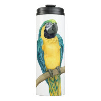 Aquamarines Macaw