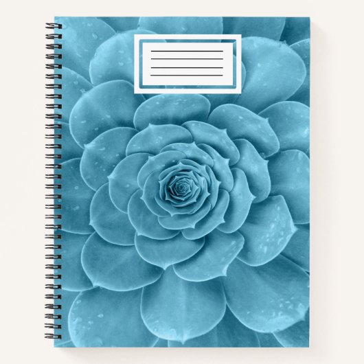 Aquamarines SpiralNotebook Notizblock (Vorderseite)