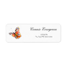 Aquarel Zeichnend elegante Typografie Butterfly