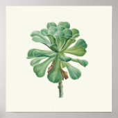 Aquarell Antikes Botanisches Kaktus Druckposter Poster (Vorne)