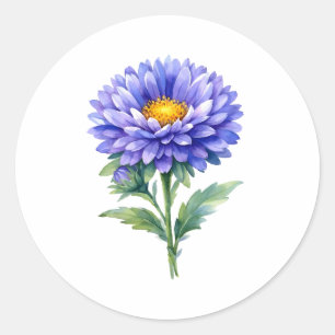 Aquarell blühende violette Aster-Blume  Runder Aufkleber