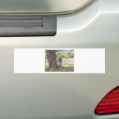 Aquarell-Boer-Ziege Autoaufkleber (Auf Auto)