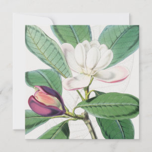 Aquarell Botanische Weiße Magnolie & Grüne Blätter Feiertagskarte