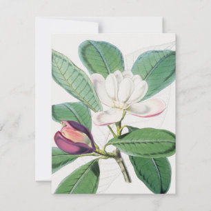 Aquarell Botanische Weiße Magnolie & Grüne Blätter Feiertagskarte