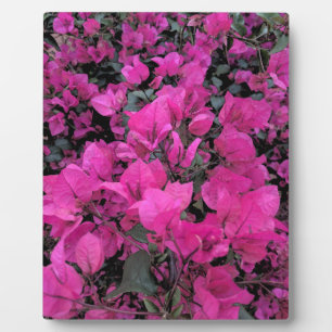 Aquarell-Bougainvillea Fotoplatte
