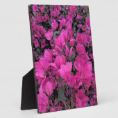 Aquarell-Bougainvillea Fotoplatte (Seite)