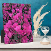 Aquarell-Bougainvillea Fotoplatte (Seite)