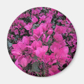 Aquarell-Bougainvillea Magnet (Vorne)