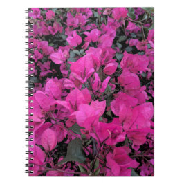 Aquarell-Bougainvillea Notizblock