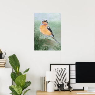 Aquarell Buchfink Vogel Naturkunst Poster