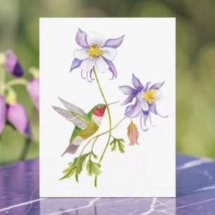 Aquarell Columbine mit Kolibri Postkarte