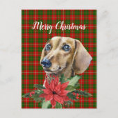Aquarell Dackel Hund Weihnachten Postkarte (Vorderseite)