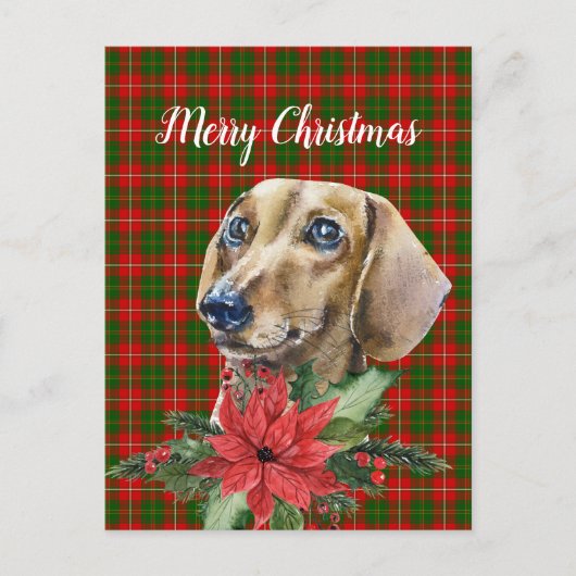 Aquarell Dackel Hund Weihnachten Postkarte (Vorderseite)