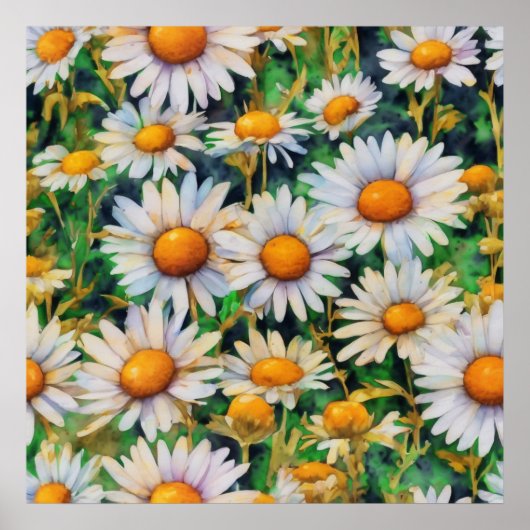 Aquarell Daisy Blume Garten Poster (Vorne)