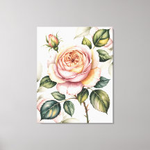 Aquarell-Englische Rose