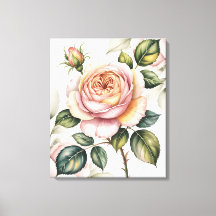 Aquarell-Englische Rose
