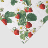 Aquarell-Erdbeeren Seidenpapier (Ausschnitt)