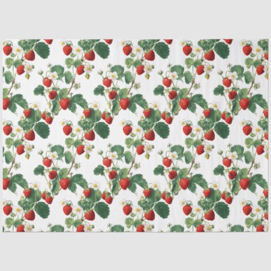 Aquarell-Erdbeeren Seidenpapier (Vorderseite)