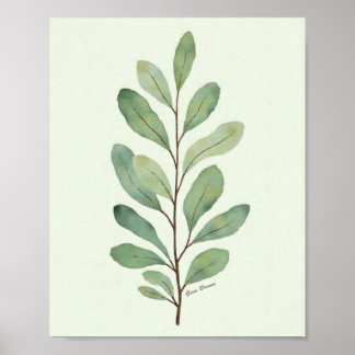 Aquarell-Eukalyptus-Zweig Botanisch Poster