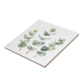 Aquarell Eukalyptusblätter Botanik Fliese (Seite)