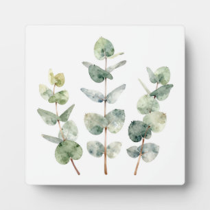Aquarell-Eukalyptusblätter Botanik Fotoplatte