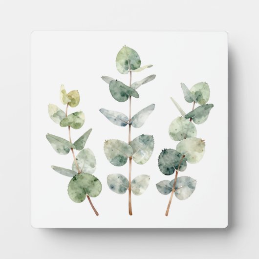 Aquarell-Eukalyptusblätter Botanik Fotoplatte (Vorderseite)