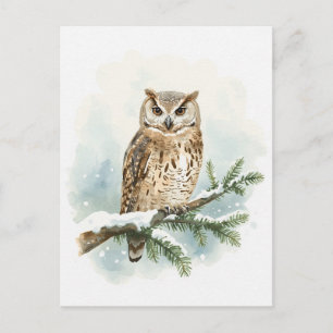 Aquarell-Eule auf schneebedecktem Kiefernzweig Feiertagspostkarte