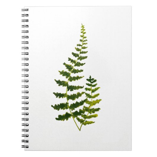 Aquarell Fern Botanische Vegetation Rustikale Eleg Notizblock (Vorderseite)