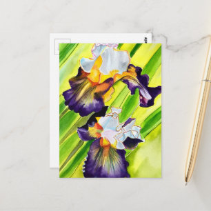 Aquarell florale Iris-Blüte Postkarte