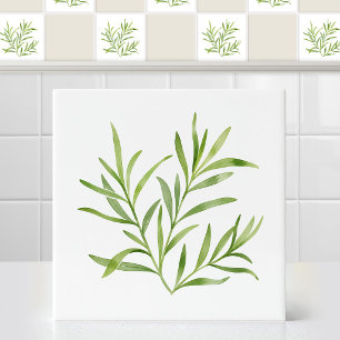 Aquarell Französischer Estragon Botanisches Blatt Fliese