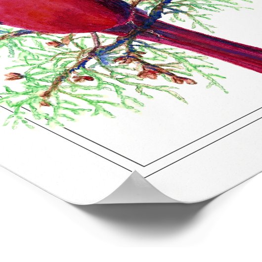Aquarell Frohe Weihnachten, Kardinal Red Bird Poster (Ecke)