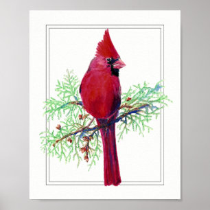 Aquarell Frohe Weihnachten, Kardinal Red Bird Poster
