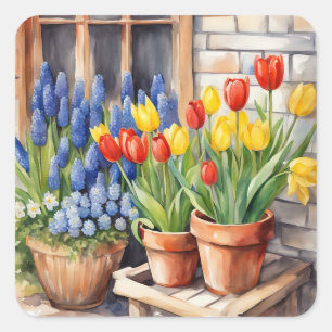 Aquarell Frühlingsblumen Tulpen Hyazinthen Quadratischer Aufkleber