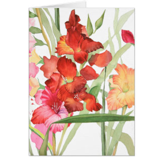 Aquarell Gladiolas