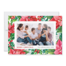 Aquarell Holand Poinsettia Foto Weihnachten