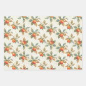 Aquarell-Kaki-Frucht und Blumen  Geschenkpapier Set (Vorderseite 3)