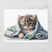 Aquarell Kitten Veterinärklinik Postkarte (Vorderseite)