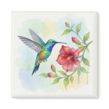 Aquarell Kleiner Kolibri